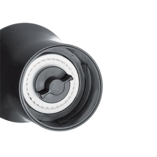 Picture of  Zassenhaus  